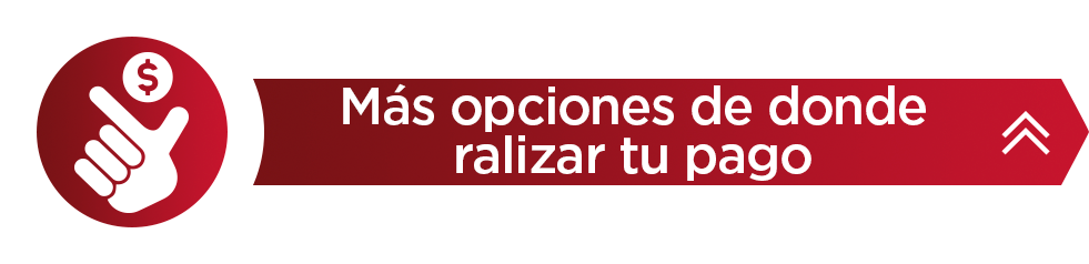 opcionesdepago