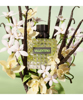 Imagen de Perfume Dama    Valentino Born In Roma Green Stravaganza Edp 100ml
