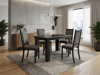 Imagen de Antecomedor Tubular Jessy 4 Sillas negro/gris